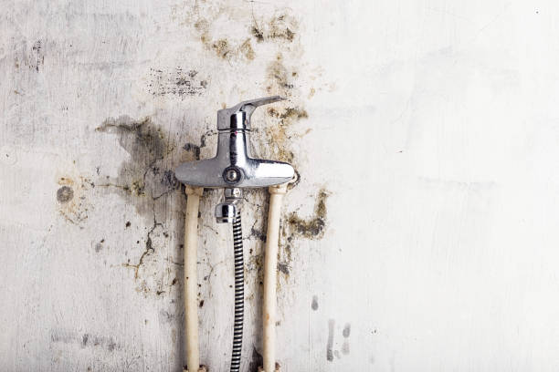 Best Local Mold Removal Service  in Crescent City, CA