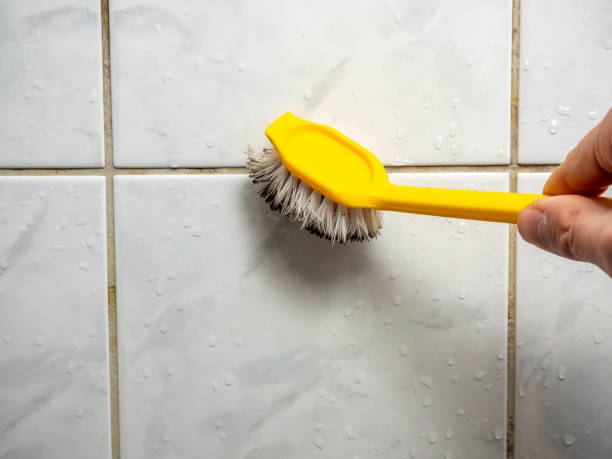Best Black Mold Removal  in Crescent City, CA