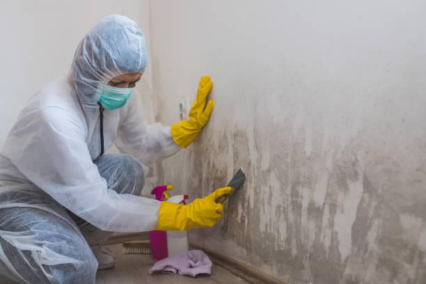 Best Mold Testing  in Crescent City, CA