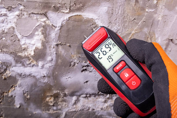 Best Residential Mold Removal  in Crescent City, CA