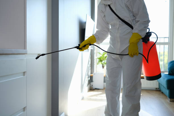 Best Emergency Mold Removal  in Crescent City, CA