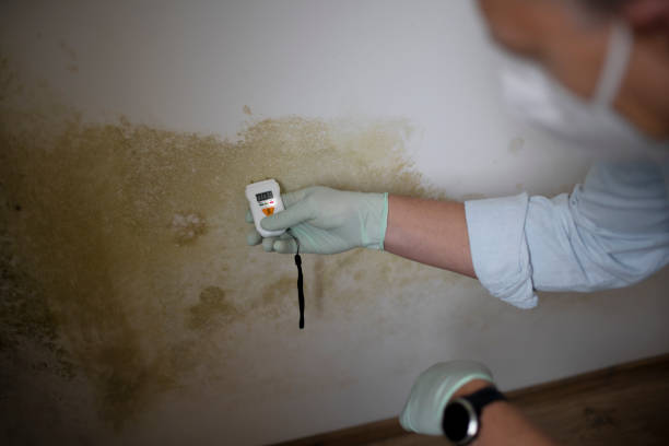 Best Office Mold Removal Services  in Crescent City, CA