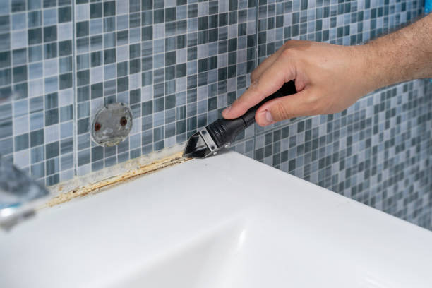 Mold Removal Process in Crescent City, CA