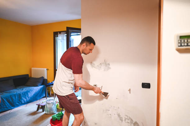Best Mold Removal Near Me  in Crescent City, CA