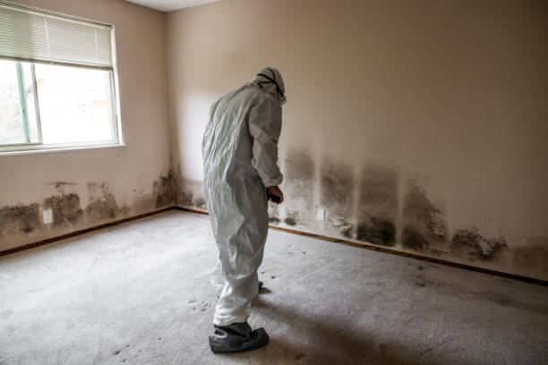 Best Mold Cleaning Services  in Crescent City, CA